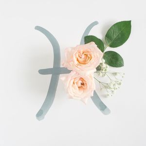 Close-up of flower bouquet against white background