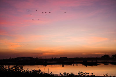 Silhouette birds flying over lake against sky during sunset