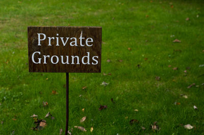 Trees on grassy field