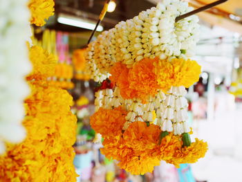 Close-up of yellow flower for sale in market