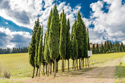 Panoramic view of farm against sky