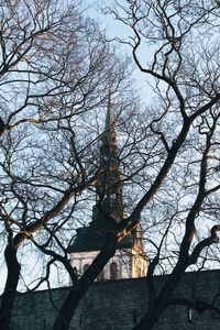 Low angle view of bare tree against sky