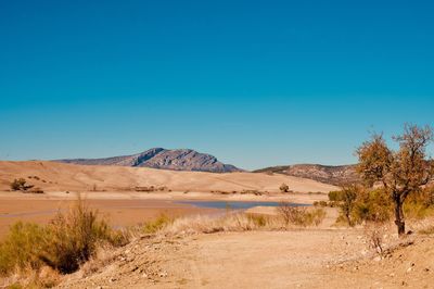 Scenic view of desert against clear blue sky