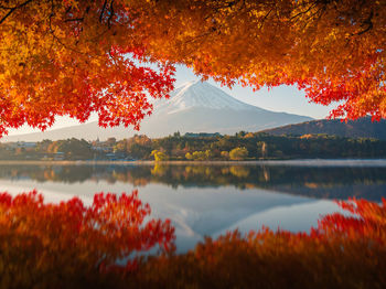 Scenic view of lake by trees during autumn