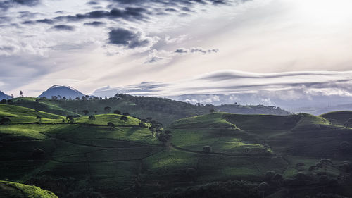 Scenic view of landscape against sky