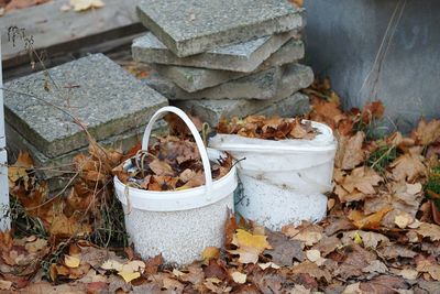 High angle view of dry leaves in  white plastic bucket during autumn 