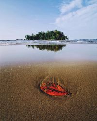 Scenic view of beach against sky