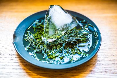 High angle view of plants in bowl on table