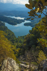 Scenic view of mountains and trees