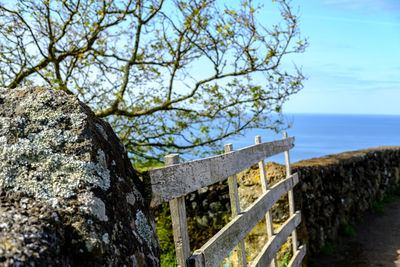 Tree trunk by sea against sky