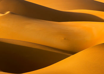 Full frame shot of sand dune