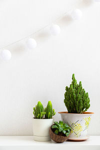 Vertical poster with houseplants on shelf on white background with copy space.