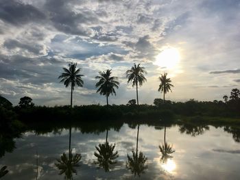 Silhouette palm trees by lake against sky during sunset