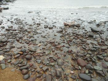 Scenic view of sea