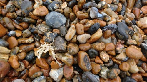 Full frame shot of pebbles