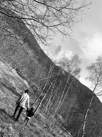 Rear view of man on bare tree against sky