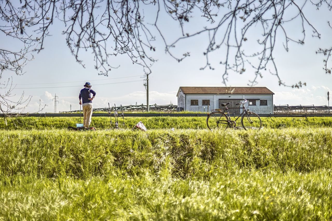 plant, grass, rural area, meadow, agriculture, field, nature, rural scene, one person, land, landscape, flower, sky, adult, tree, architecture, full length, pasture, farm, built structure, environment, occupation, prairie, day, lifestyles, outdoors, men, building, crop, growth, building exterior, natural environment, grassland, house, green, rapeseed, working, farmer