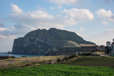 Scenic view of field against sky