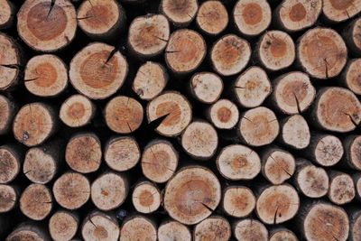 Full frame shot of logs