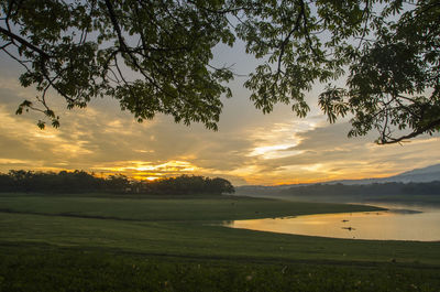 Scenic view of field against sky during sunset