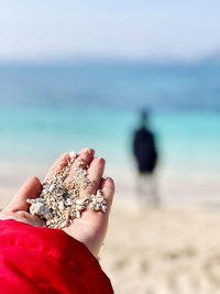 Close-up of person hand holding sea shore