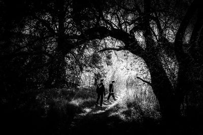 Silhouette of people walking on footpath