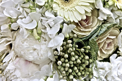 Full frame shot of white flowers