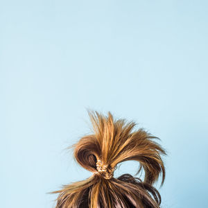 Close-up of woman with hair bun against blue background