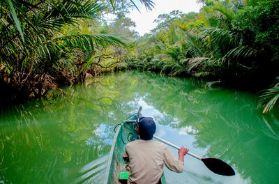 Rear view of man in river against trees