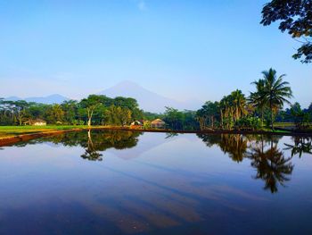 Scenic view of lake against clear blue sky