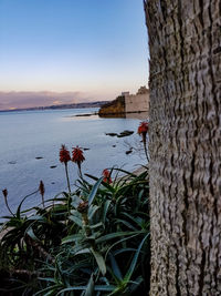 Scenic view of sea against sky at sunset