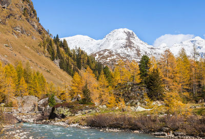 River in autumn alp landscape