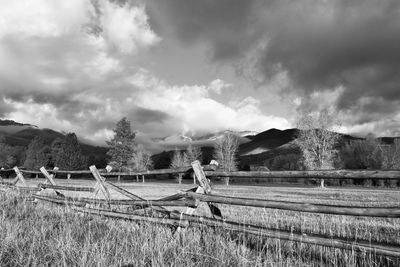 Panoramic view of field against sky