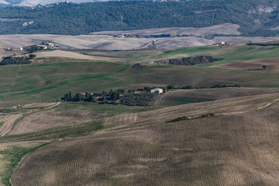 Scenic view of agricultural field