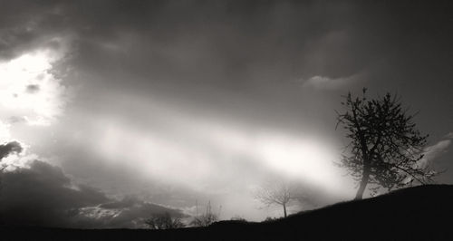 Low angle view of silhouette trees against sky