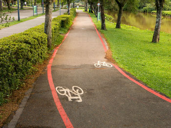 Road passing through a park