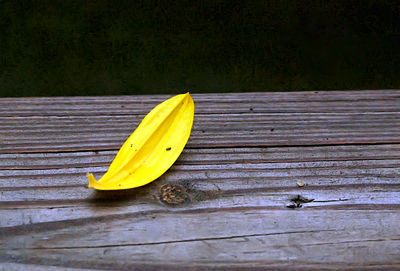 Close-up of wooden plank