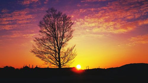 Silhouette bare tree on field against sky during sunset