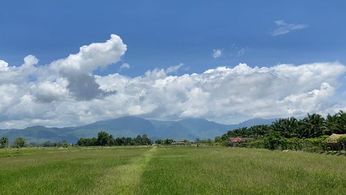 Scenic view of landscape against sky