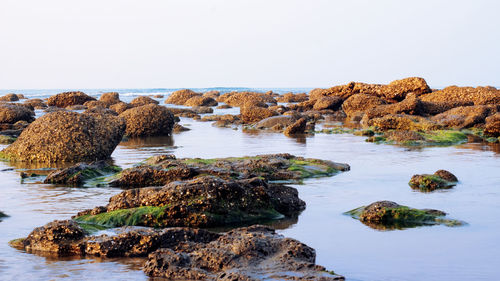 Rocks on sea shore against clear sky