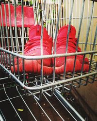 High angle view of a bird in cage