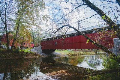 Reflection of trees in river