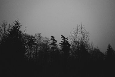 Silhouette of trees against clear sky