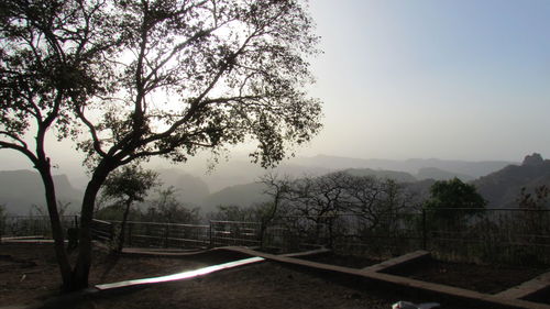 Trees on landscape against cloudy sky