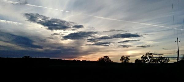 Silhouette of trees at sunset