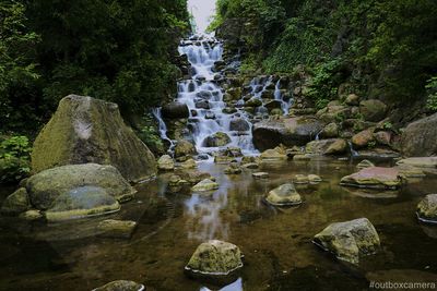 Panoramic view of waterfall in forest
