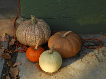 High angle view of pumpkin