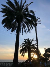 Silhouette palm trees against sky at sunset