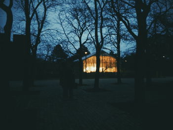 Silhouette of bare trees in park