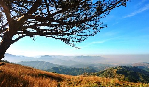 Scenic view of tree mountains against sky